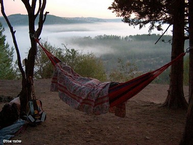 צילום: שלומי אפל