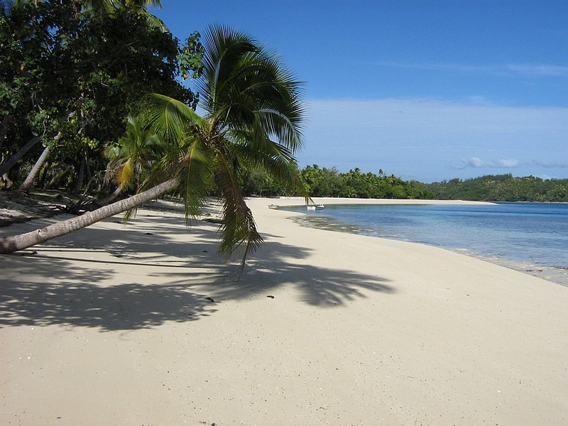 צילום: אמיר גולדמן