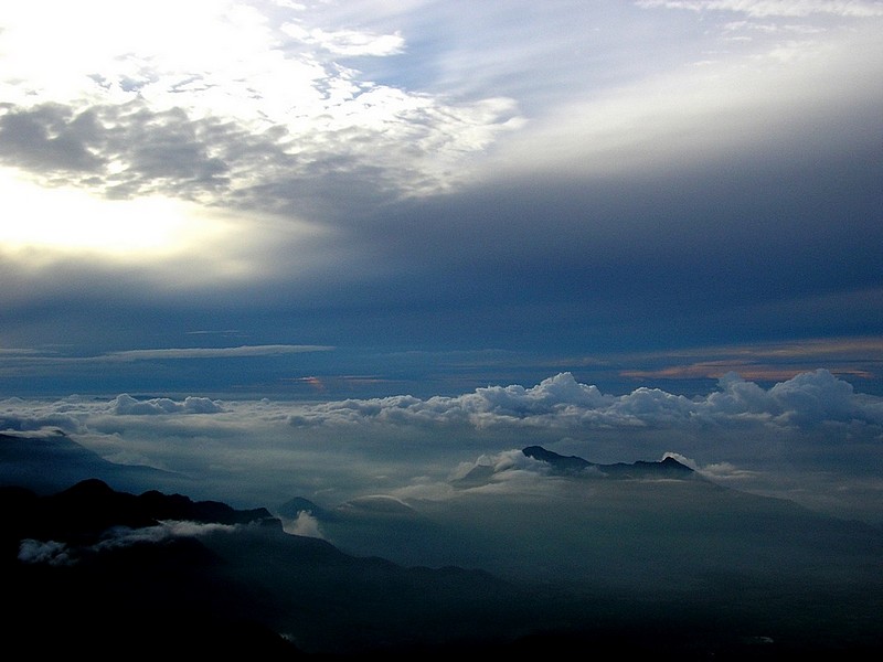 צילום: הראל נאור
