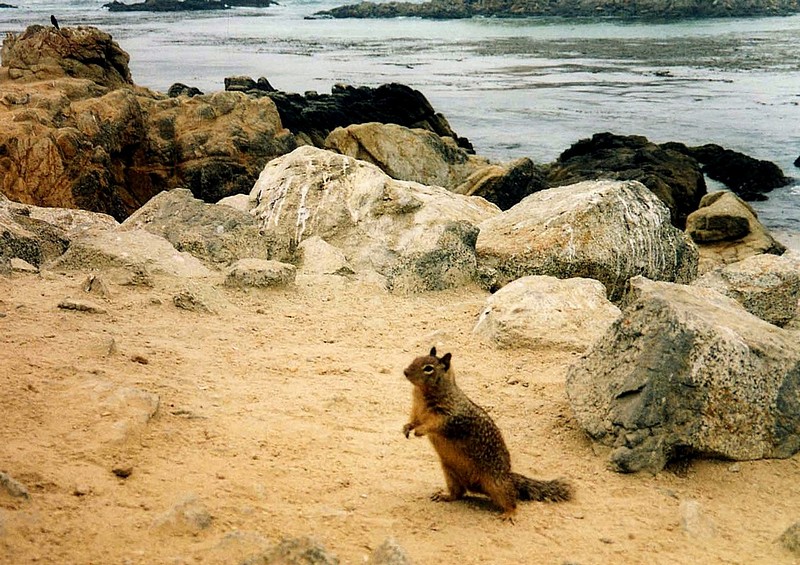 איך הגעתי לפה?