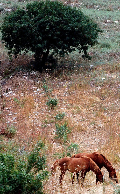 צילום: דני בוק