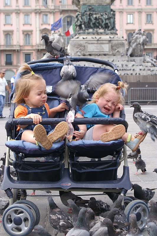 צילום: קוקי סעד