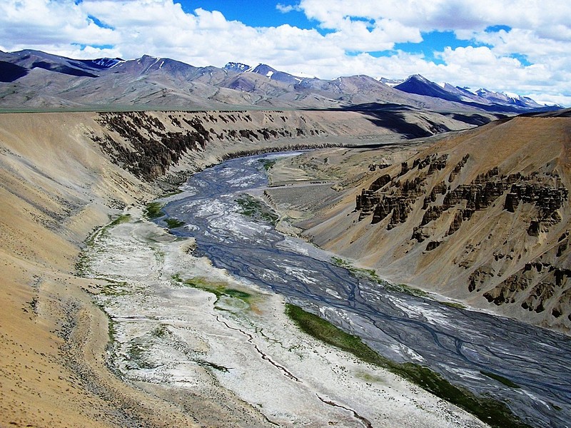 צילום: הראל נאור