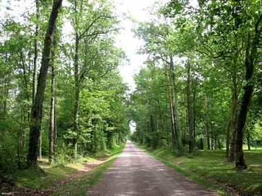 צילום: מגי דוידי