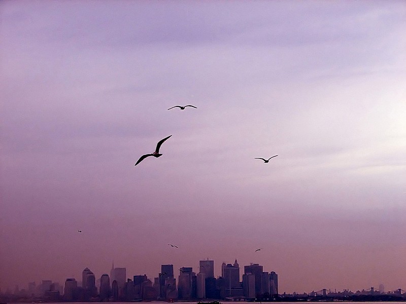 The Escape From NYC 3