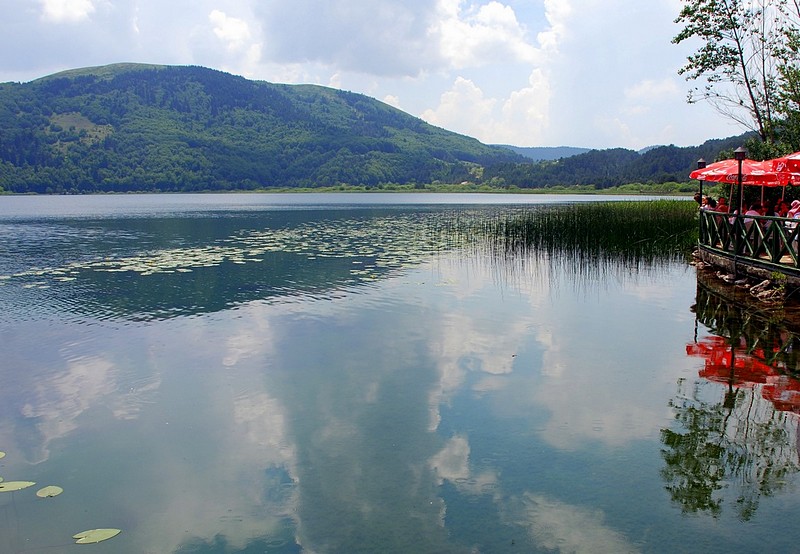 כשהשמיים במים