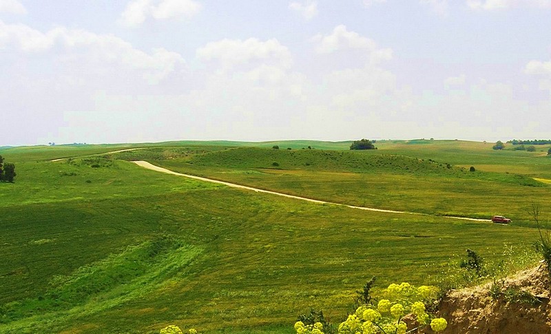 צילום: יובל בן ציון
