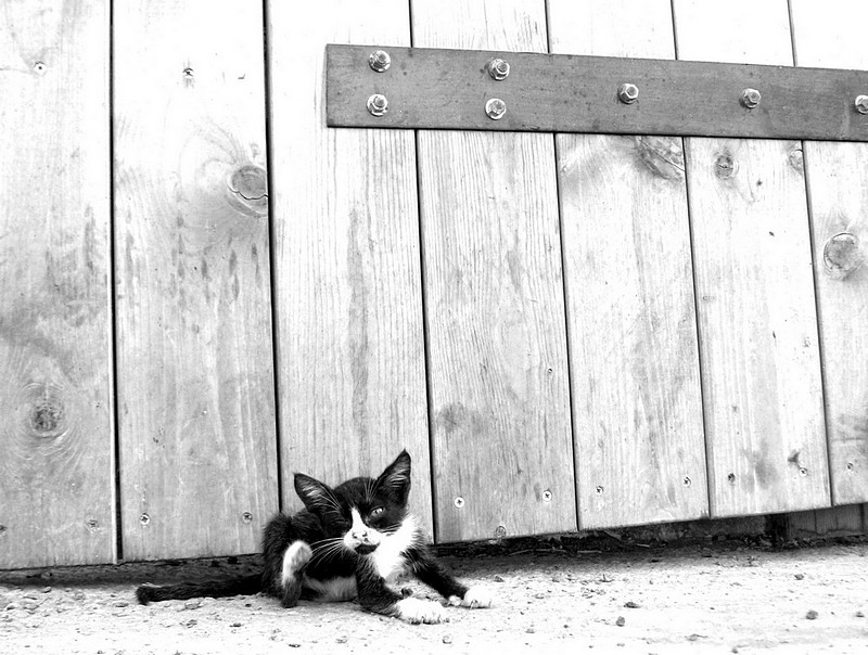 חם לי ומגרד לי!