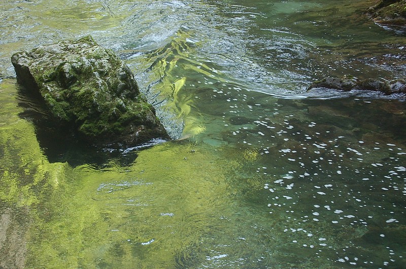 ציור ופיסול