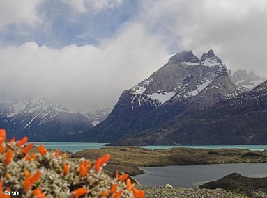 צילום: רוני  