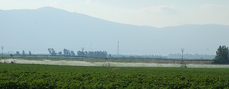 נחש השקיה בעמק החולה
