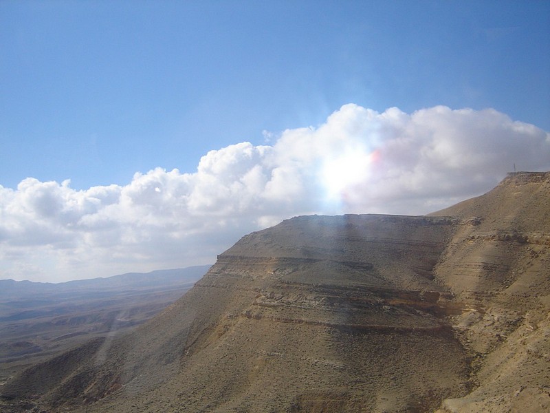 צילום: רותי לוי