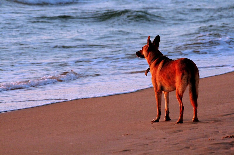 בסופו של יום