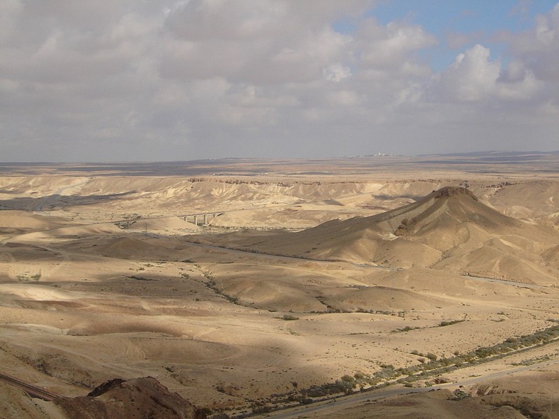 צילום: רותי לוי