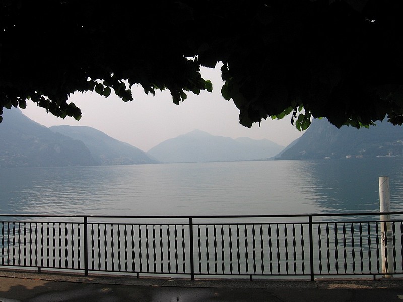 צילום: אור פרל