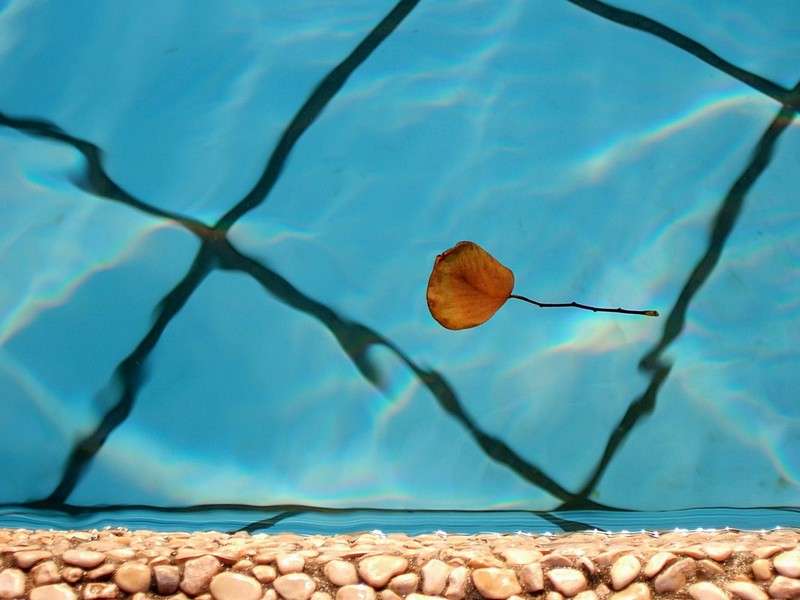 מחווה ל-MAYO...