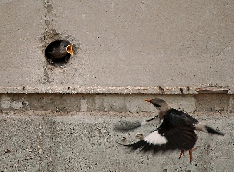 צילום: דני בוק