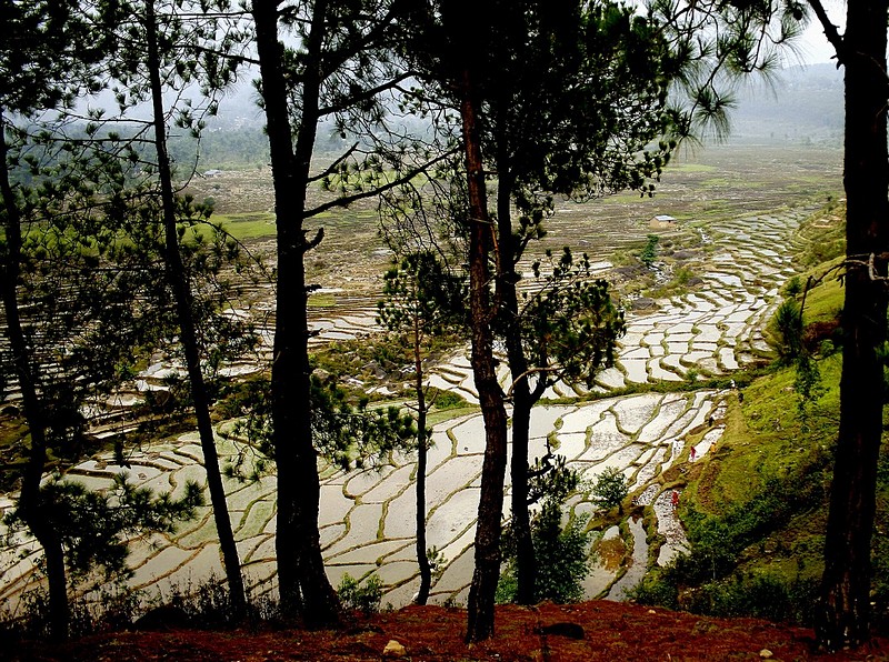 להציץ ולהיפגע..