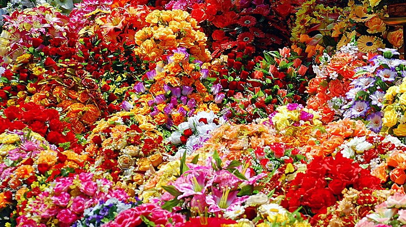 אבסטרקט פרחוני