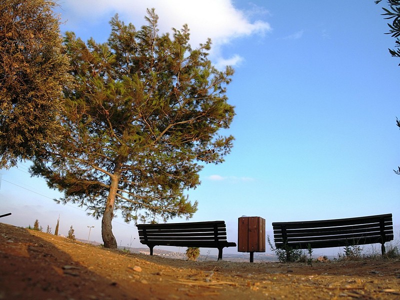 יושבים בכיף עם השקיעה