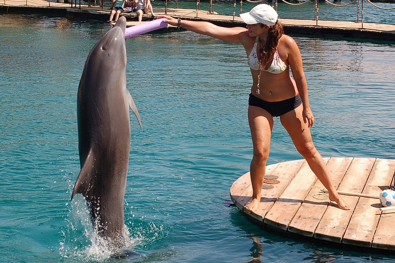 קפיצה לגובה בריף באילת