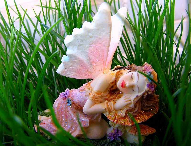 היפיפיה הנרדמת