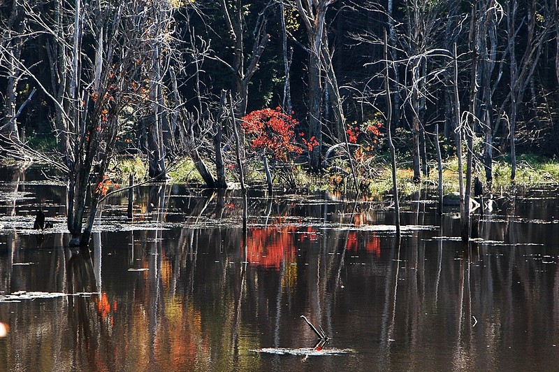אגם ב White Mountains