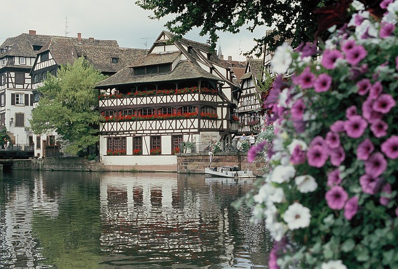 צילום: Udi Avital