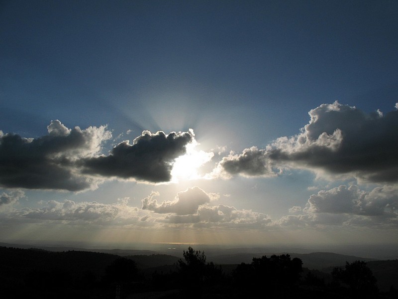צילום: נטע וייל