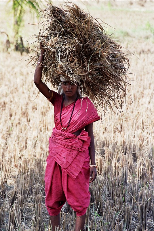 צילום: אורית אברגיל