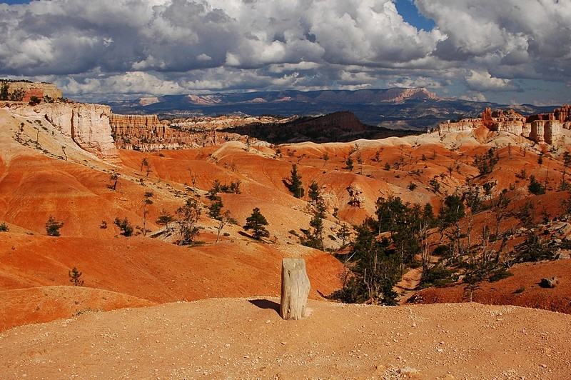 Bryce Canyon in Red