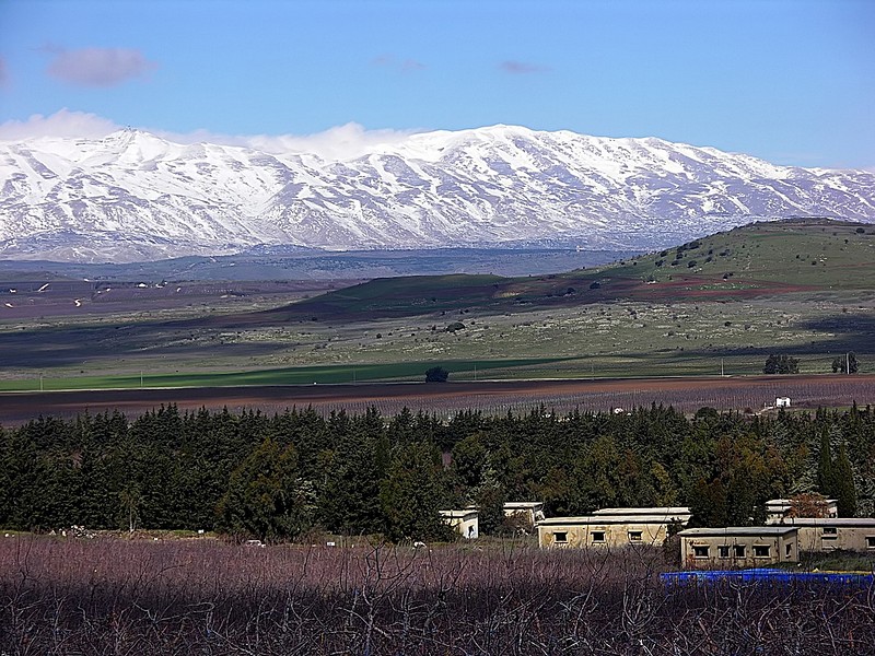 רמת הגולן בחורף