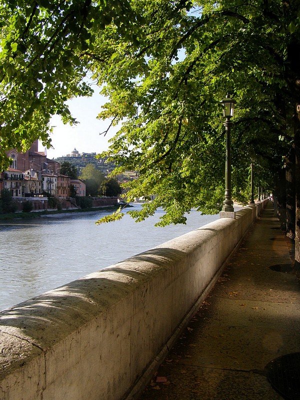 צילום: רוני קיים