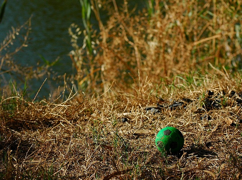 צילום: דני בוק