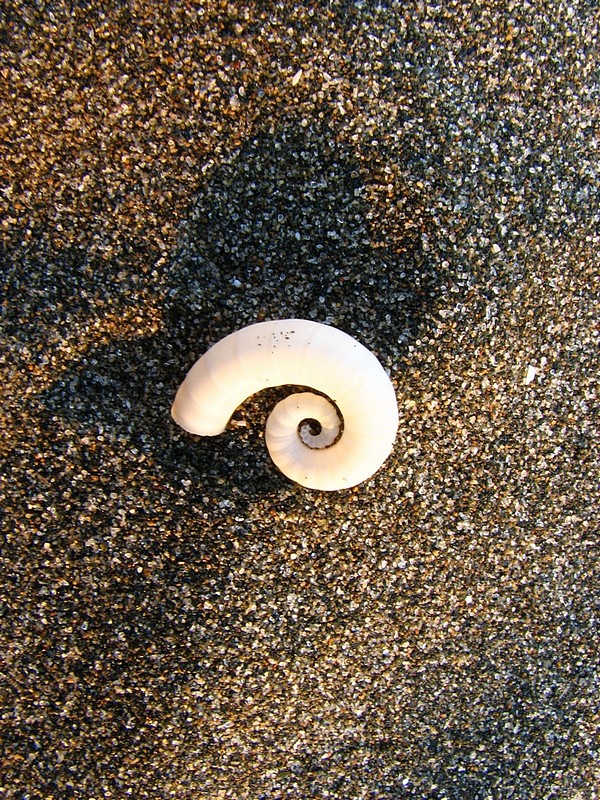 צילום: adam yosef