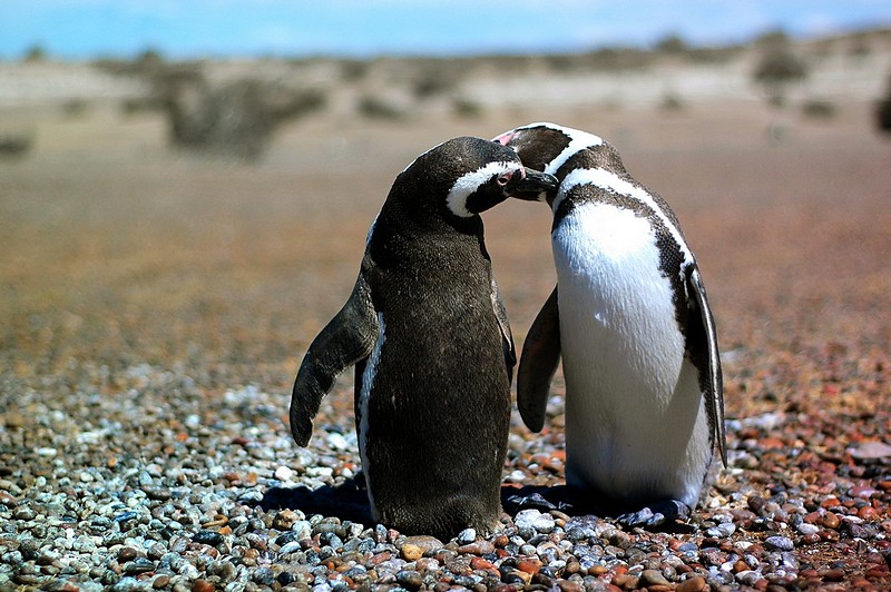 צילום: דני בוק