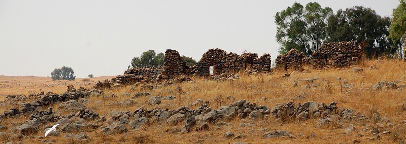 נופי רמת הגולן