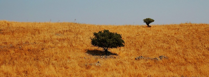 נופי רמה"ג (סדרה)