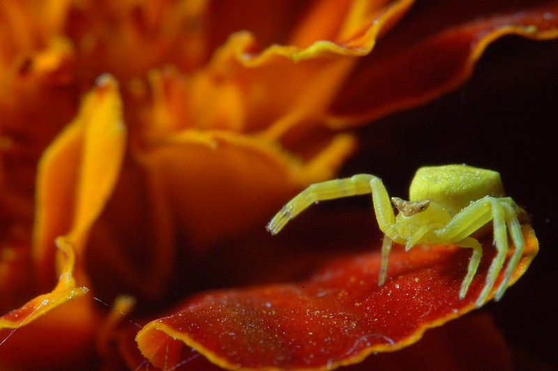 רק תבואי..בואי אלי..
