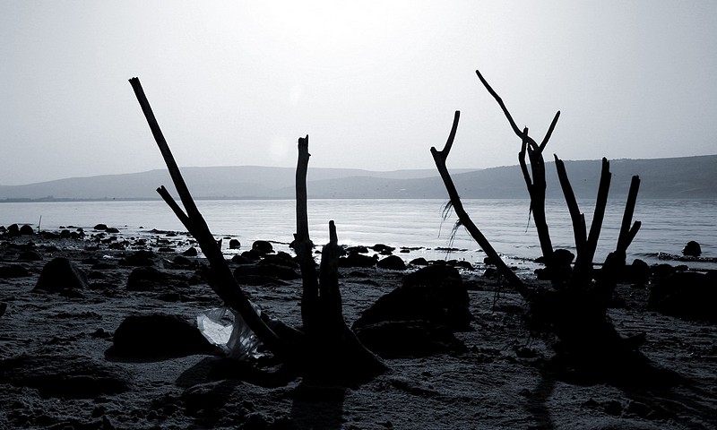 פתאום סוף הקיץ...