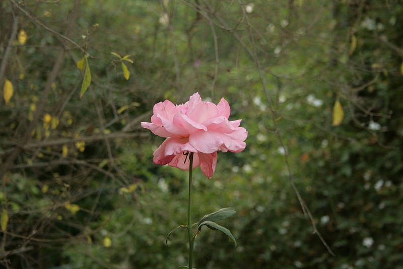 צילום: חנה מימוני