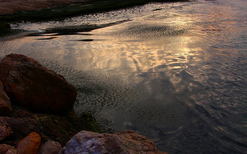 ליקוויד סקייס.