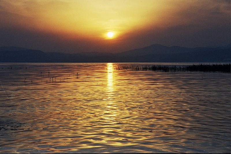 צילום: aviad levy