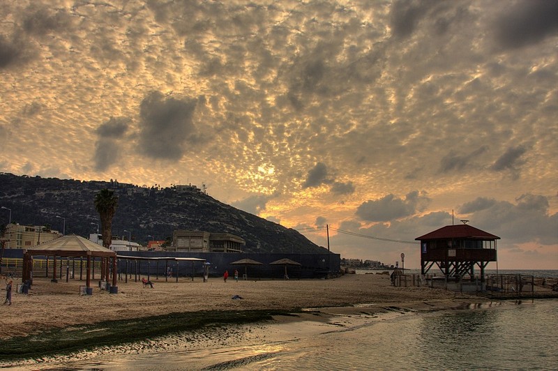 חוף בדינמיות