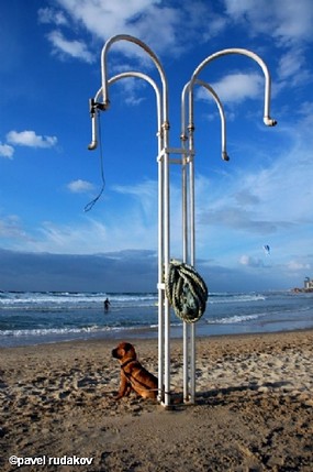 צילום: פבל ר