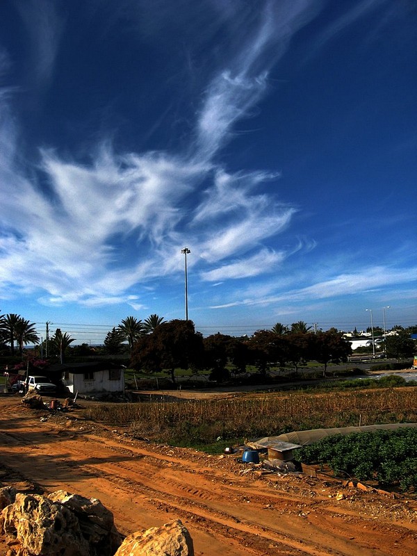 אביב באמצע החורף