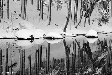 יום חורפי שוודי