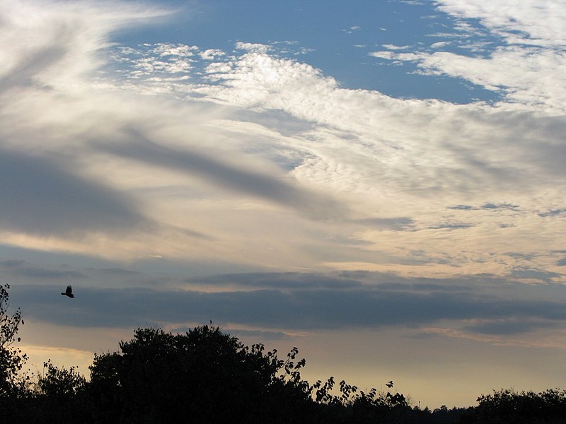 נכנסה לה בתמונה