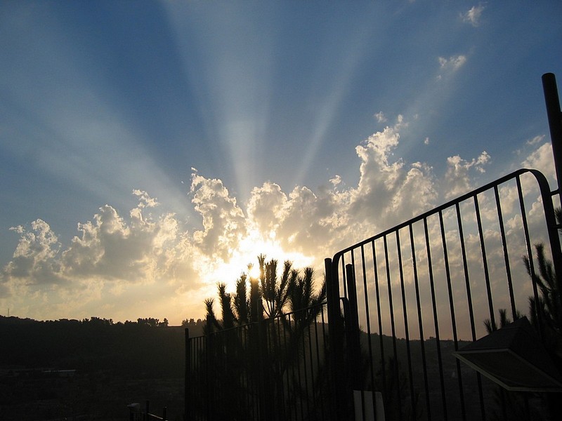 צילום: aviad levy