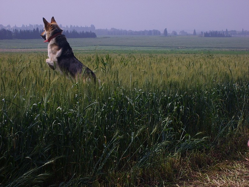 צילום: אורן סוננברג